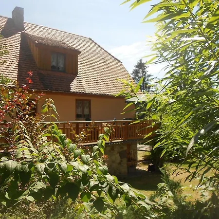 Dom wakacyjny Haus In Kovarov Mit Terrasse, Grill Und Garten *